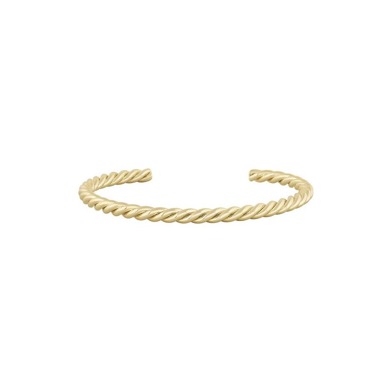 Electric Picks 14k Plated Cruise Bangle 26$